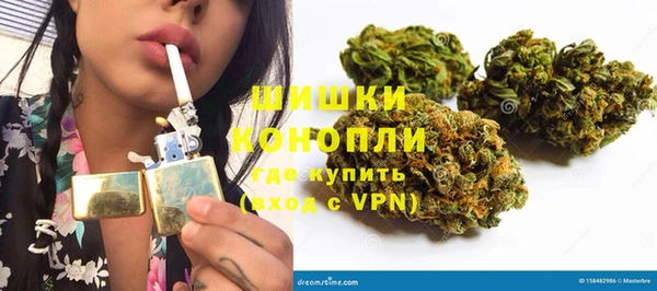 Альфа ПВП Аркадак