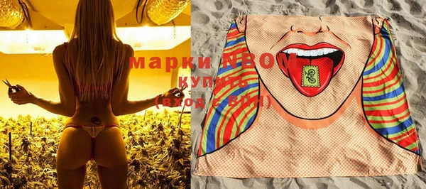 Альфа ПВП Аркадак